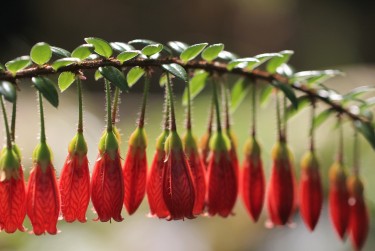 中山东凤5私人快速借钱网，轻松解决资金难题