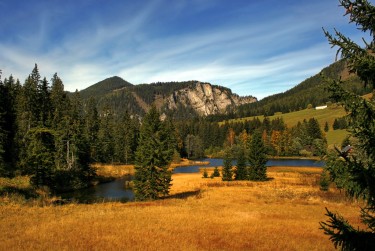 中山东凤5民间私贷攻略：揭秘低成本借贷的秘密