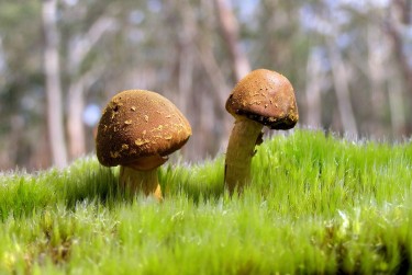 中山东凤5私人老板放款：轻松融资的秘密通道